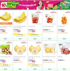 Mẫu Trái cây nhập khẩu